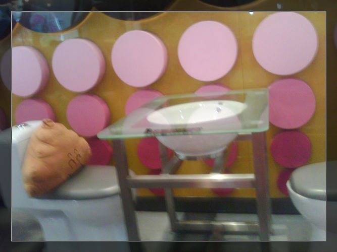 IMG0568A.jpg