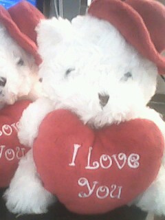 IMG0620A.jpg