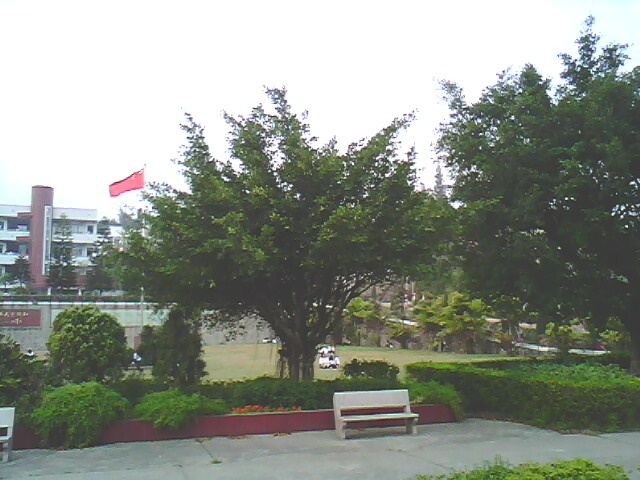 IMG0764A.jpg