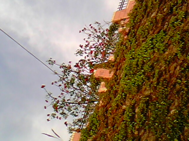 IMG0768A.jpg