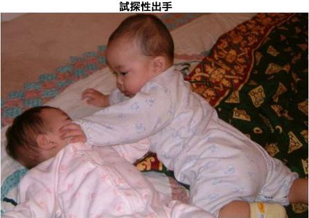 ǿʵ¼z(o-.-o)(o'.'o)