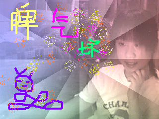 �����������DƬ�������� Ŷ ������������