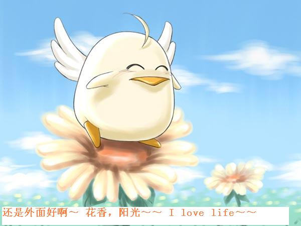 磡غȤ~