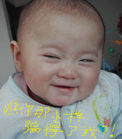 [����]���������