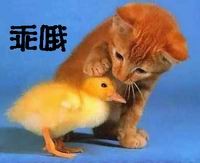 [����]���������