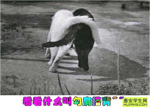 [ͼ]֮۽