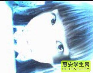 ________װ.....602ε"˧"..