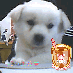 uk5EontY.gif