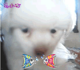 [ע]С~!2 ¥~߹~!