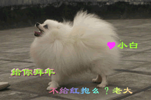[ע]С~!2 ¥~߹~!