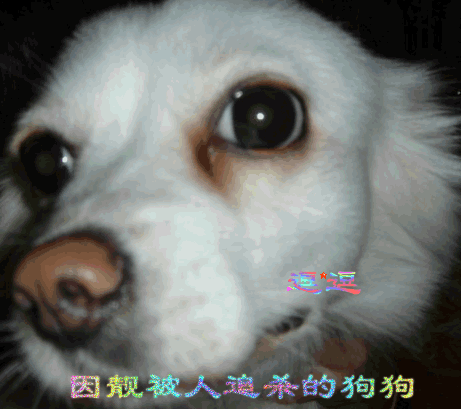 xfPvtemg.gif