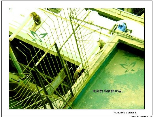 [ͼ]һ``ɐ۵Ů