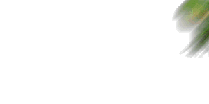 HMJi50Pc.gif