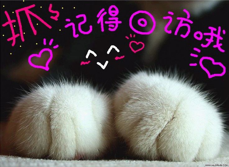 �ÿɰ�Ŷ