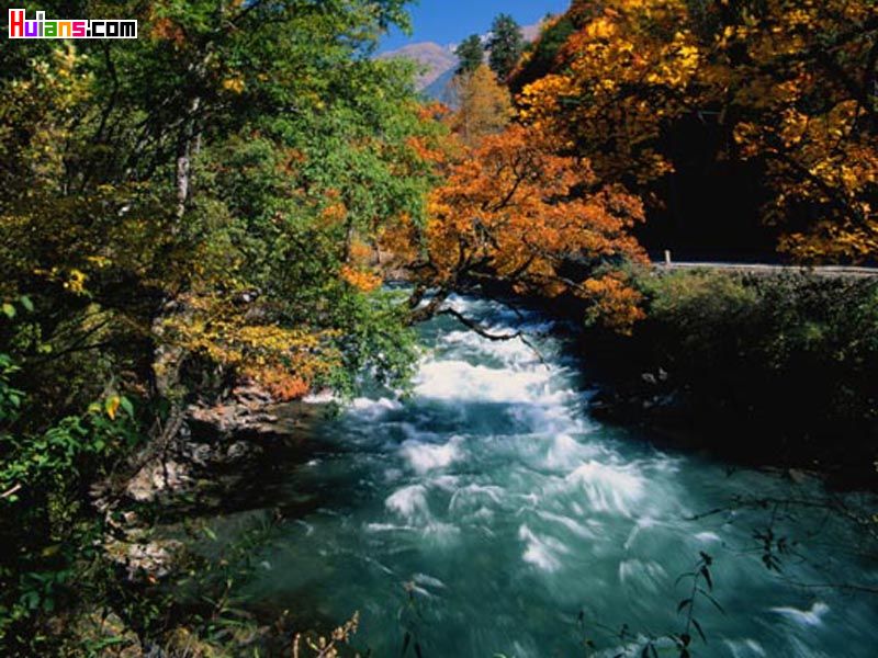 Chuan05.gif