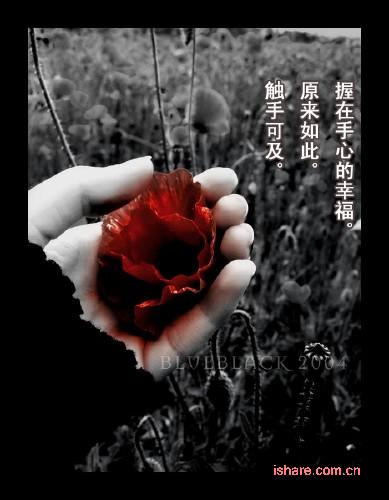 20060605.jpg