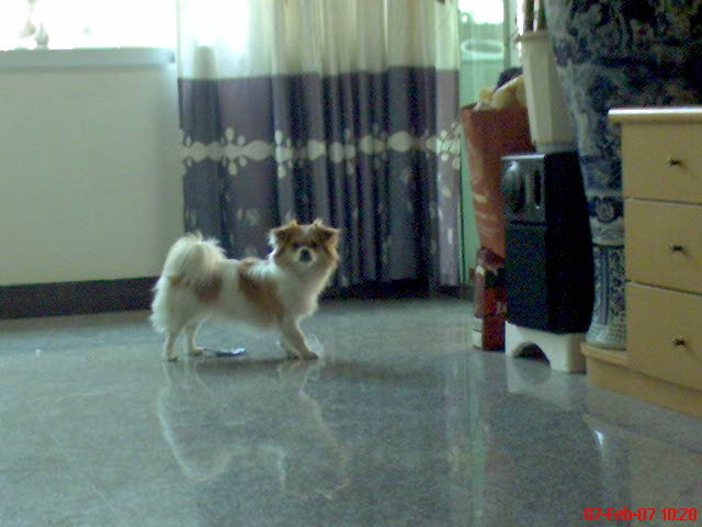 B02917D7A64375F9FFCB4A3EEFC07836.JPG