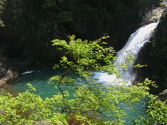 IMGA0614.JPG