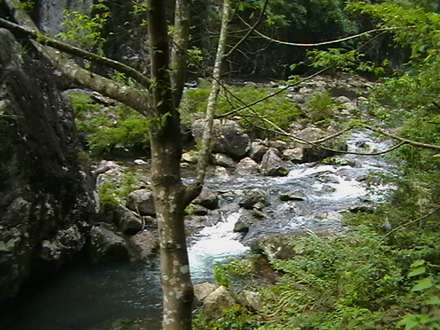 IMGA0394.JPG