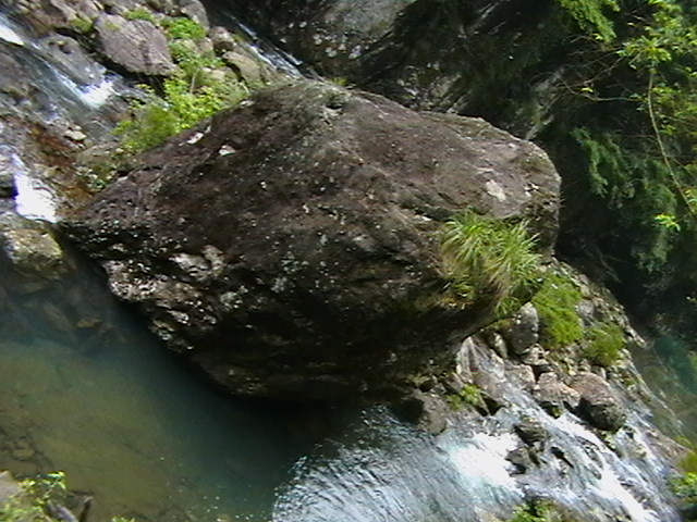 IMGA0393.JPG