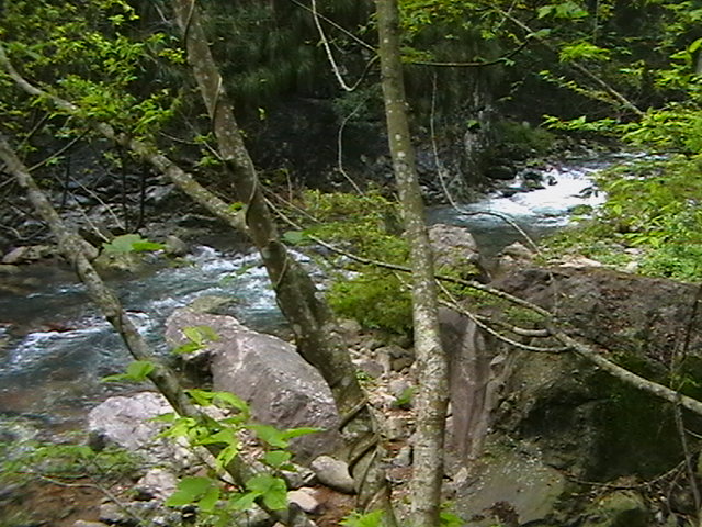 IMGA0390.JPG