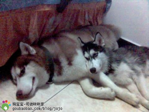 photoimg369.qq.jpg