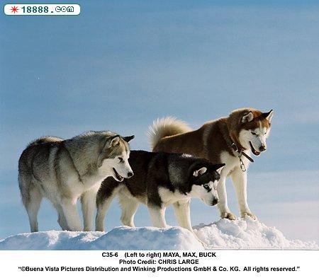 photoimg361.qq.jpg