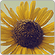 158202953124012.gif