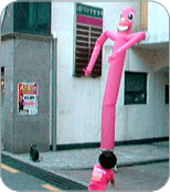 7232100957808.gif